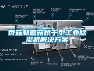 知識百科香菇和蘑菇烘干型工業除濕機解決方案