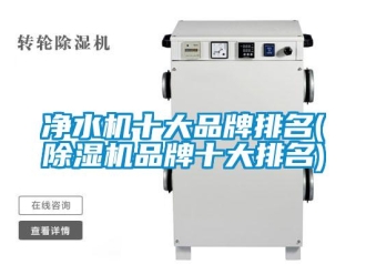 企業新聞凈水機十大品牌排名(除濕機品牌十大排名)