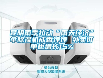 行業新聞昆明雨季拉動“雨天經濟”傘除濕機成香餑餑 外賣訂單也增長15%