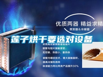 行業新聞蓮子烘干要選對設備