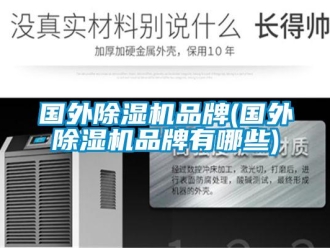 企業(yè)新聞國外除濕機品牌(國外除濕機品牌有哪些)