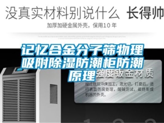 常見問題記憶合金分子篩物理吸附除濕防潮柜防潮原理