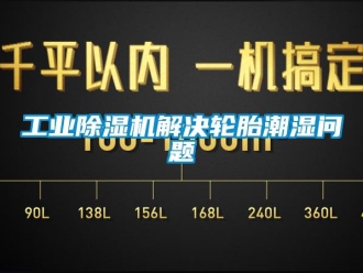 常見問題工業除濕機解決輪胎潮濕問題