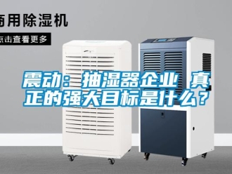 知識百科震動：抽濕器企業(yè) 真正的強(qiáng)大目標(biāo)是什么？