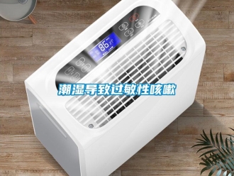 企業新聞潮濕導致過敏性咳嗽