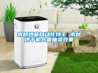 企業新聞木材烘箱自動化烘干 木材烘干機大量抽濕效果
