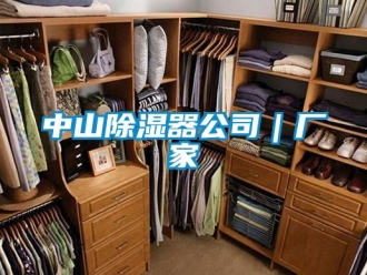 行業(yè)新聞中山除濕器公司｜廠家