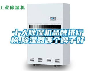 企業(yè)新聞十大除濕機(jī)品牌排行榜,除濕器哪個(gè)牌子好