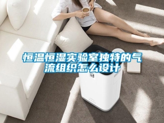 知識(shí)百科恒溫恒濕實(shí)驗(yàn)室獨(dú)特的氣流組織怎么設(shè)計(jì)