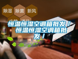 知識(shí)百科恒溫恒濕空調(diào)箱批發(fā)／ 恒溫恒濕空調(diào)箱批發(fā)／