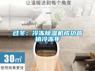 行業新聞過冬：冷凍除濕機成功營銷冷凍年
