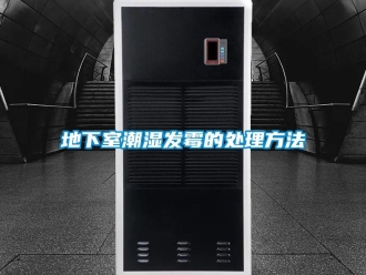 企業新聞地下室潮濕發霉的處理方法