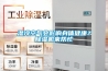 濕冷空氣會影響身體健康？除濕機來幫忙