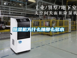 行業新聞除濕機為什么抽那么多水