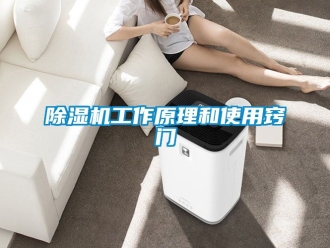 行業新聞除濕機工作原理和使用竅門