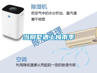 企業新聞當別墅遇上梅雨季