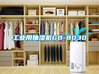 企業(yè)新聞工業(yè)用抽濕機(jī)GB-8030
