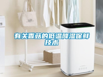 知識百科有關香菇的低溫降濕保鮮技術