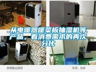 企業新聞從電暖器暖菜板抽濕機等產品，看消費需求的再次分化