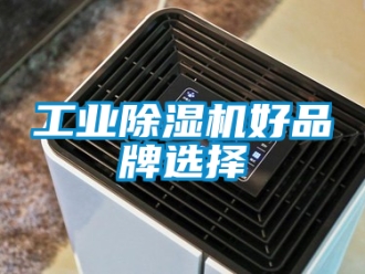 常見問題工業(yè)除濕機(jī)好品牌選擇