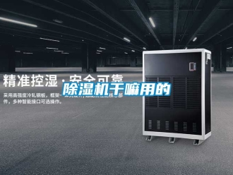 行業(yè)新聞除濕機干嘛用的