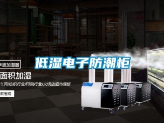 企業(yè)新聞低濕電子防潮柜