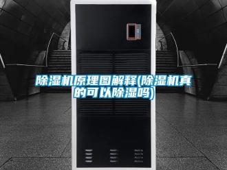 行業(yè)新聞除濕機(jī)原理圖解釋(除濕機(jī)真的可以除濕嗎)