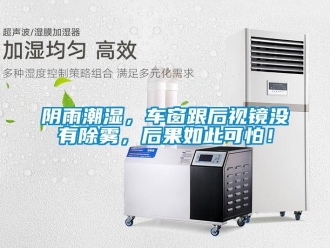 知識百科陰雨潮濕，車窗跟后視鏡沒有除霧，后果如此可怕！