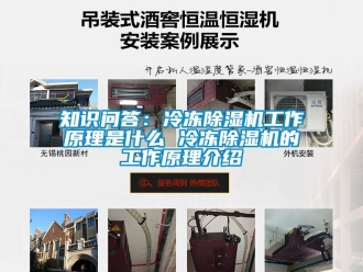 行業新聞知識問答：冷凍除濕機工作原理是什么 冷凍除濕機的工作原理介紹