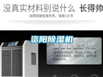 行業新聞資陽除濕機