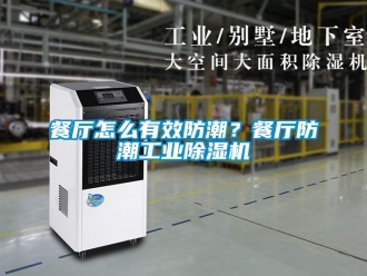 常見問題餐廳怎么有效防潮？餐廳防潮工業除濕機