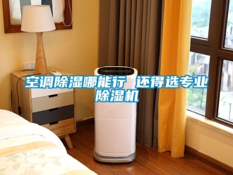 行業新聞空調除濕哪能行 還得選專業除濕機