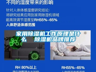 企業(yè)新聞家用除濕機(jī)工作原理是什么  除濕機(jī)品牌推薦