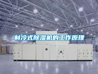 行業新聞制冷式除濕機的工作原理