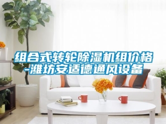 常見問題組合式轉輪除濕機組價格-濰坊安適德通風設備