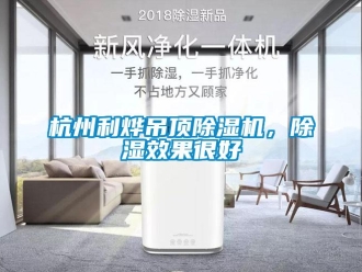 行業(yè)新聞杭州利燁吊頂除濕機，除濕效果很好