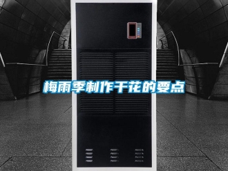 行業新聞梅雨季制作干花的要點