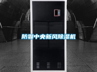 企業(yè)新聞防霾中央新風除濕機