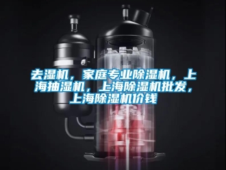 行業新聞去濕機，家庭專業除濕機，上海抽濕機，上海除濕機批發，上海除濕機價錢