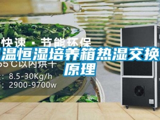 知識百科恒溫恒濕培養箱熱濕交換的原理