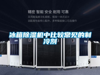 企業新聞冰箱除濕機中比較常見的制冷劑