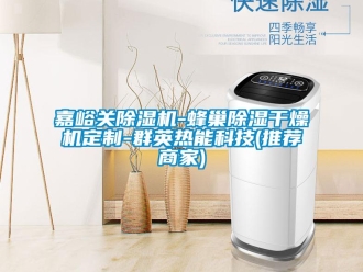 行業新聞嘉峪關除濕機-蜂巢除濕干燥機定制-群英熱能科技(推薦商家)