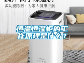 知識百科恒溫恒濕柜的工作原理是什么？