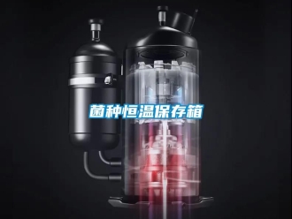 知識百科菌種恒溫保存箱