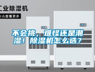 企業新聞不會挑，難怪還是潮濕！除濕機怎么選？