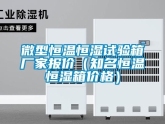 知識百科微型恒溫恒濕試驗箱廠家報價（知名恒溫恒濕箱價格）