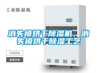 行業(yè)新聞消失模烘干除濕機，消失模烘干除濕工藝