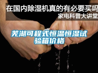 知識百科蕪湖可程式恒溫恒濕試驗箱價格
