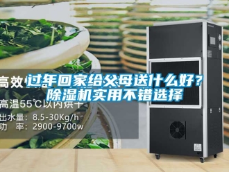 行業(yè)新聞過年回家給父母送什么好？除濕機(jī)實(shí)用不錯(cuò)選擇