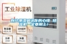 別讓潮濕破壞你的心情 除濕機(jī)一定要用上！